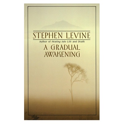 A Gradual Awakening - Stephen Levine